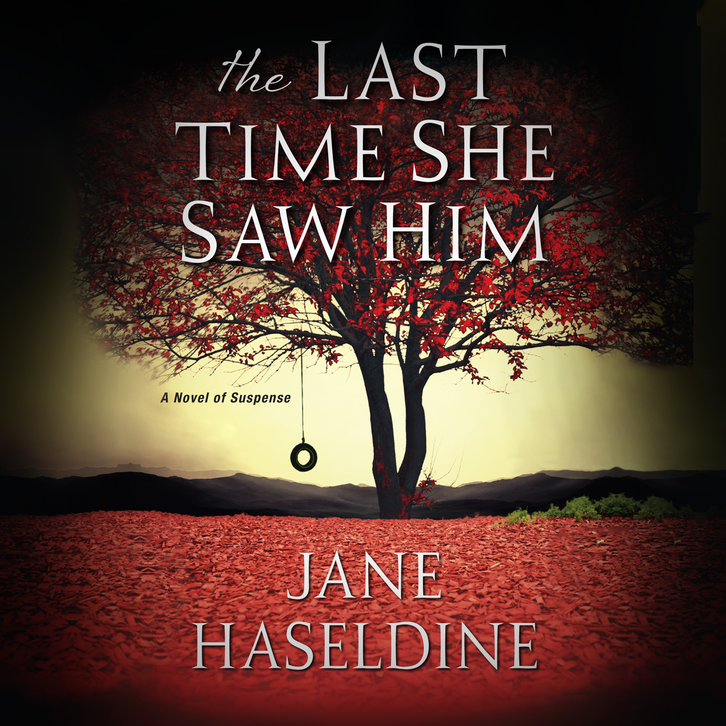 The Last Time She Saw Him