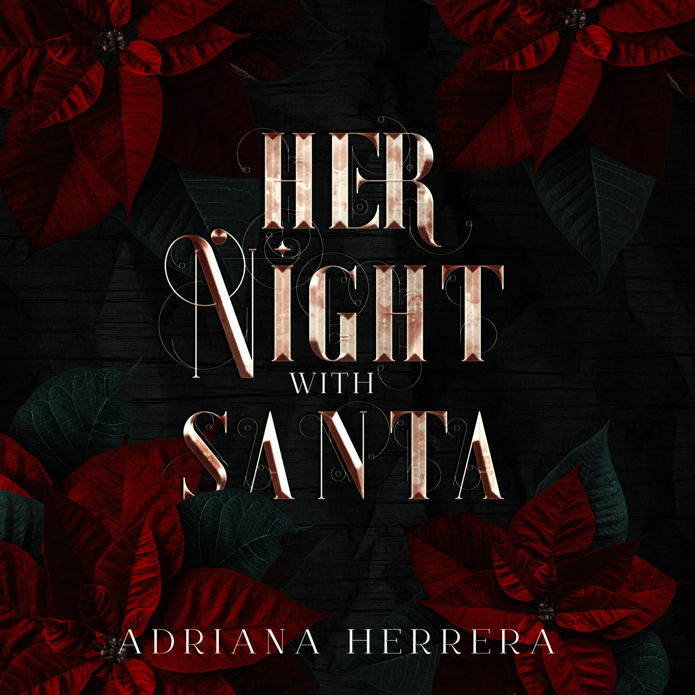 Her Night With Santa