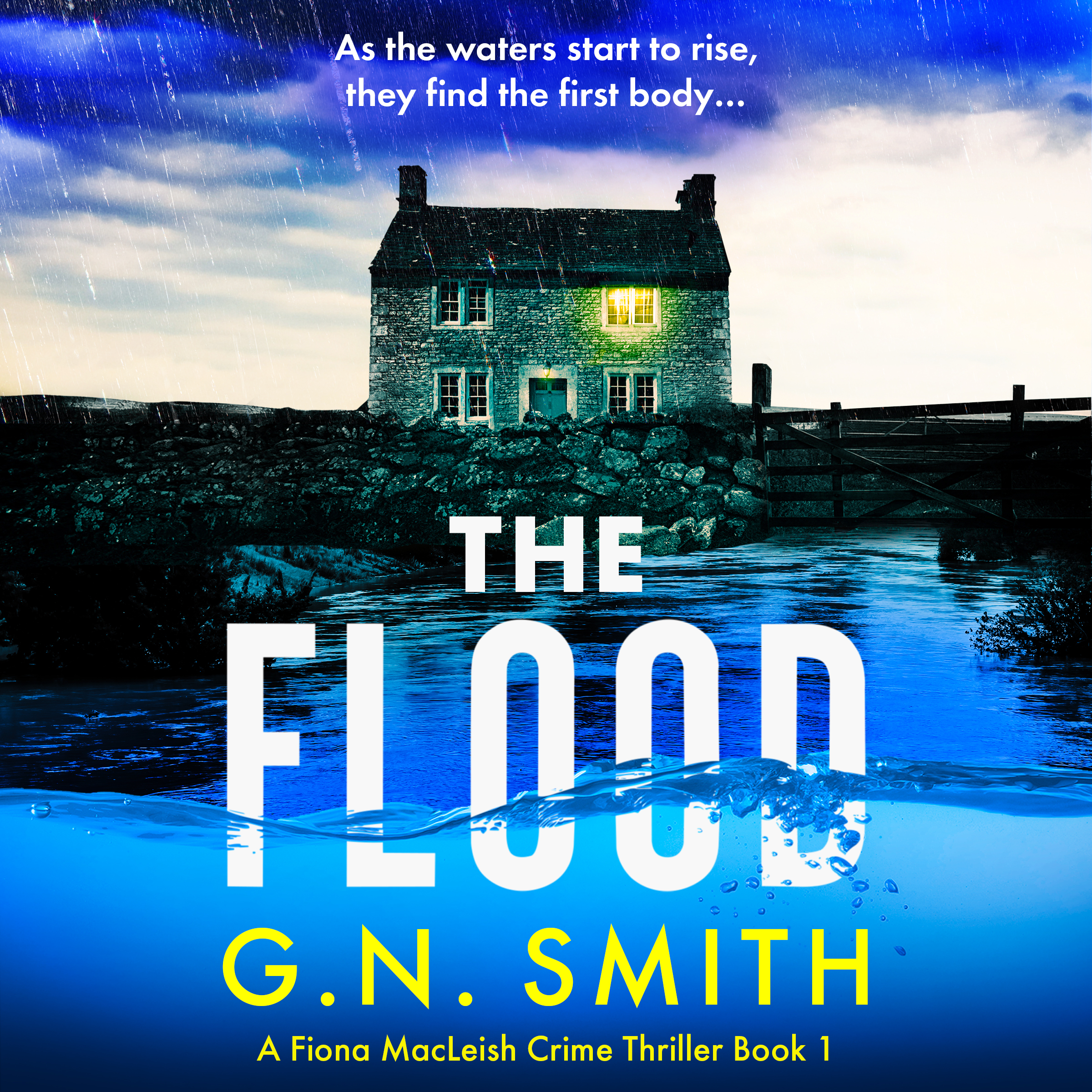 The Flood